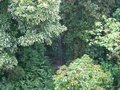 Img_3146.jpg